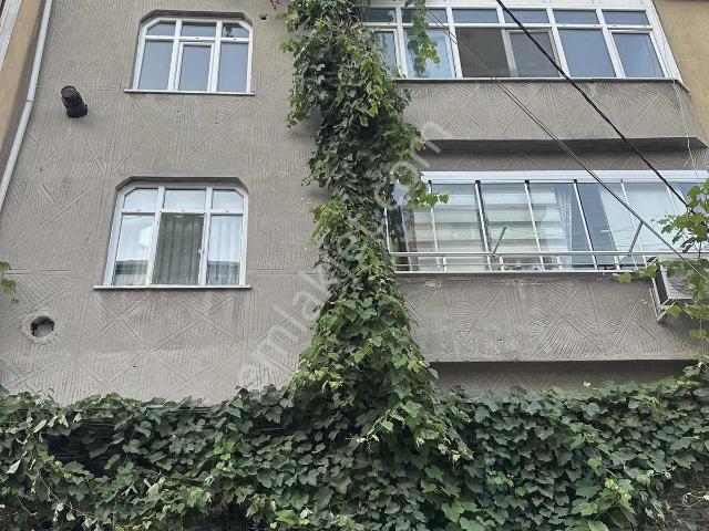 Anadolu Mahallesi, Arnavutköy içerisinde kiralık mülk