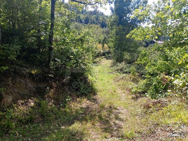 Borçka, Artvin içerisinde satılık mülk