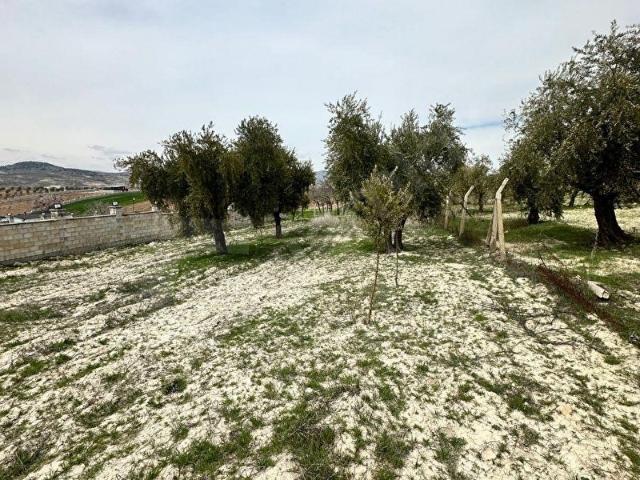 Şahinbey, Gaziantep içerisinde satılık mülk