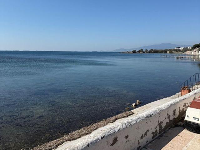 İzmir Merkez içerisinde satılık Tarla İzmir Merkez içerisinde satılık Tarla