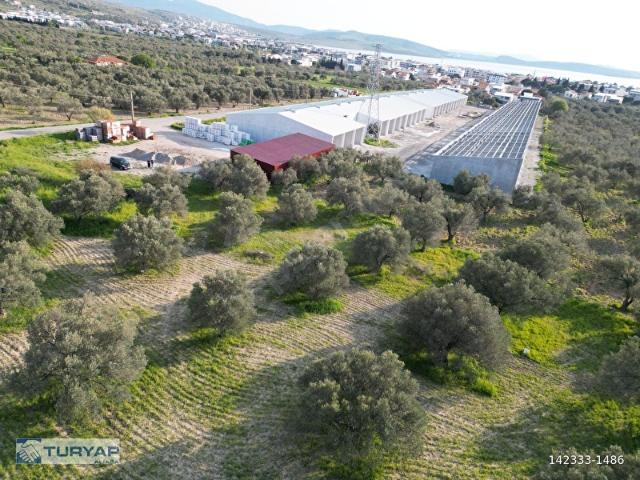 Aliağa, İzmir içerisinde satılık Dükkan