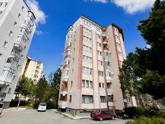 Sivas Merkez, Sivas içerisinde kiralık mülk