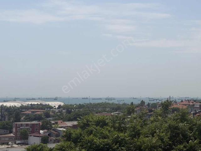 İstanbul Merkez, İstanbul içerisinde satılık mülk