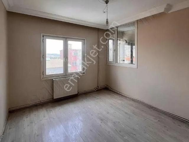 İstanbul Merkez, İstanbul içerisinde kiralık mülk
