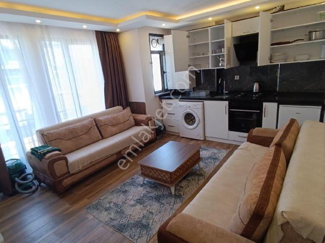 İstanbul Merkez, İstanbul içerisinde kiralık mülk