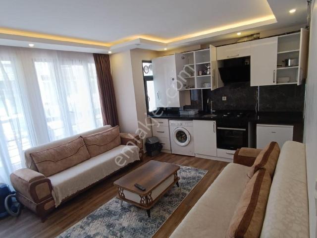 İstanbul Merkez, İstanbul içerisinde kiralık mülk