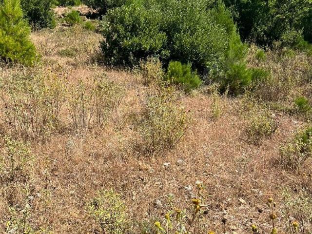 Akseki, Antalya içerisinde satılık Arsa