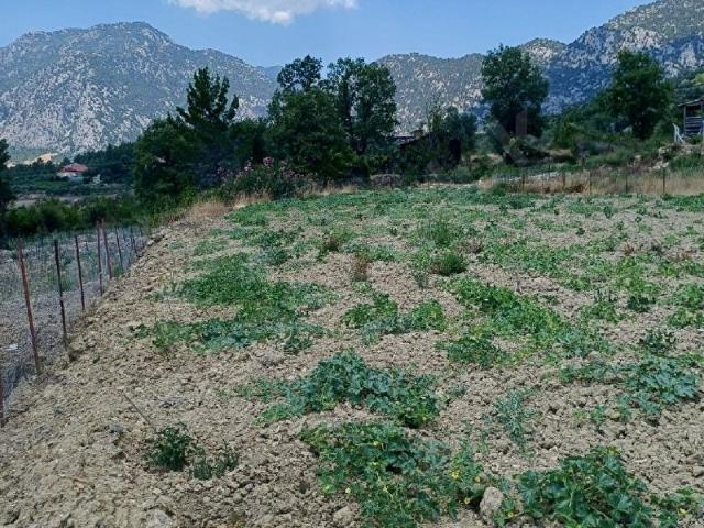 Taşlıca, Akseki içerisinde satılık Arsa