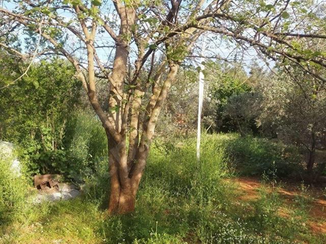 Aksu, Antalya içerisinde satılık mülk