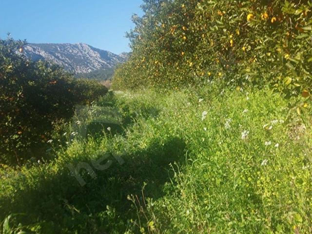 Aksu, Antalya içerisinde satılık Arsa