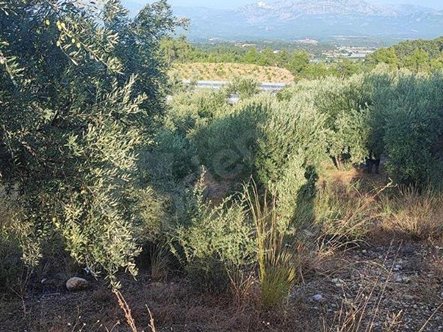 Aksu, Antalya içerisinde satılık Arsa