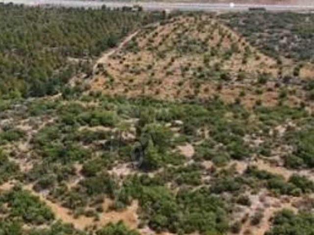 Aksu, Antalya içerisinde satılık Arsa
