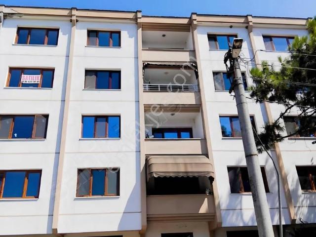 Düzce Merkez, Düzce içerisinde kiralık mülk