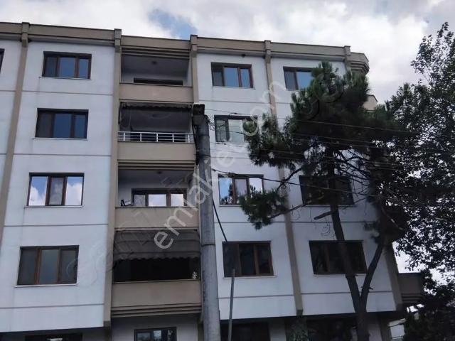 Düzce Merkez, Düzce içerisinde satılık mülk