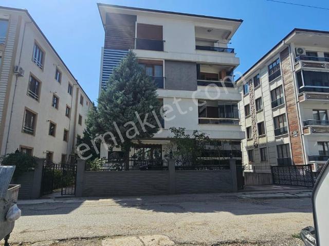 Düzce Merkez, Düzce içerisinde kiralık mülk