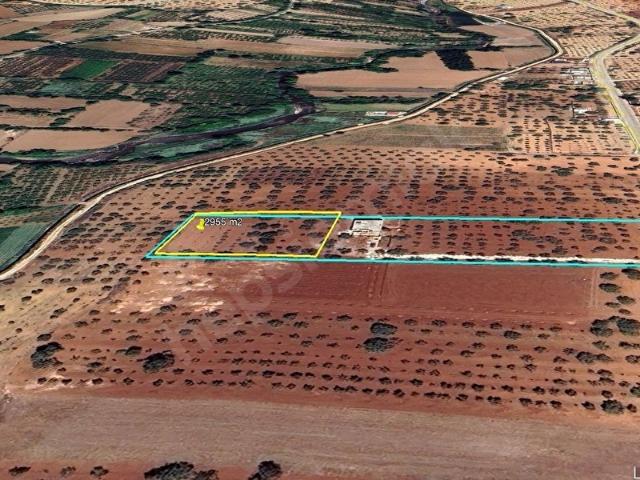 Oğuzeli, Gaziantep içerisinde satılık Arsa