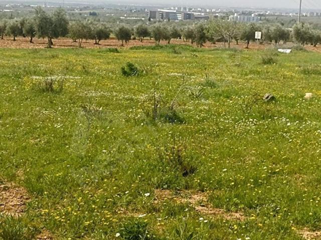 Kilis Merkez, Kilis içerisinde satılık Arsa
