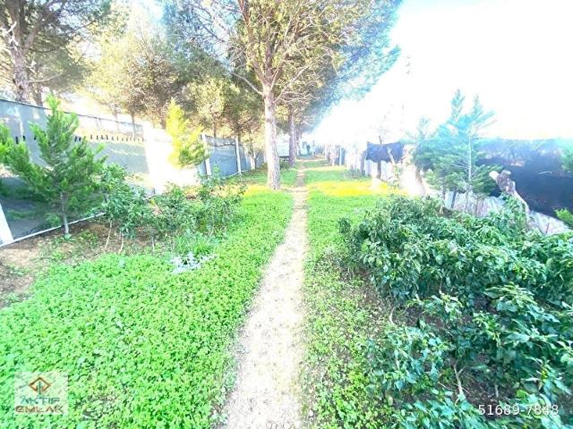 Burhaniye, Balikesir içerisinde satılık Arsa