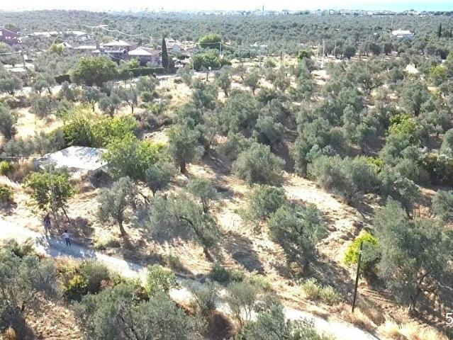 Burhaniye, Balikesir içerisinde satılık mülk