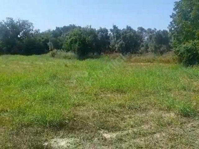 Muğla Merkez, Muğla içerisinde satılık Arsa