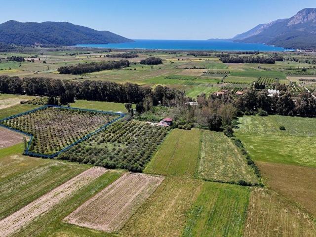 Ula, Muğla içerisinde satılık Arsa
