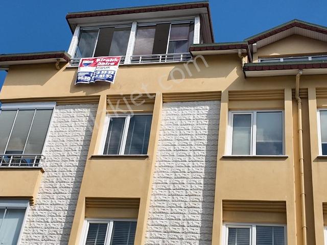 Ordu içerisinde kiralık mülk