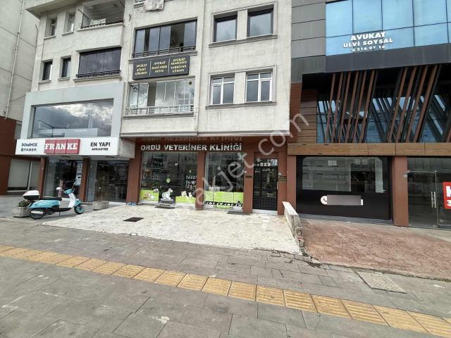 Ordu içerisinde satılık mülk