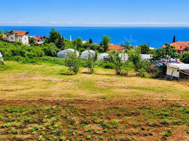 Akyazı Mahallesi, Ortahisar içerisinde satılık mülk