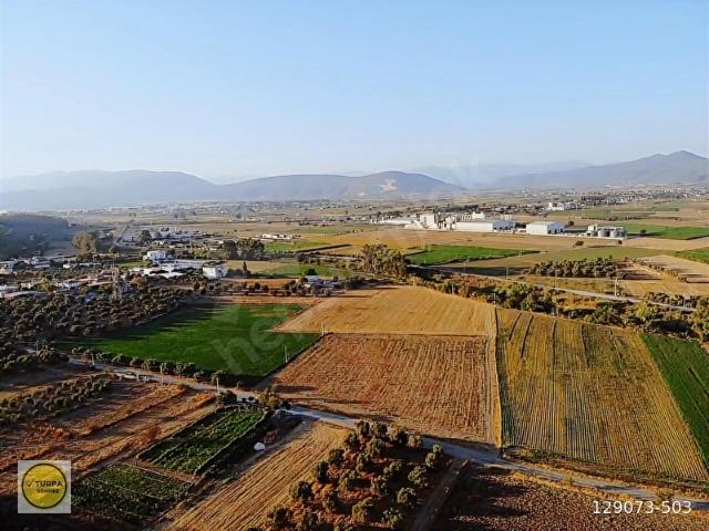 Milas, Muğla içerisinde satılık Arsa