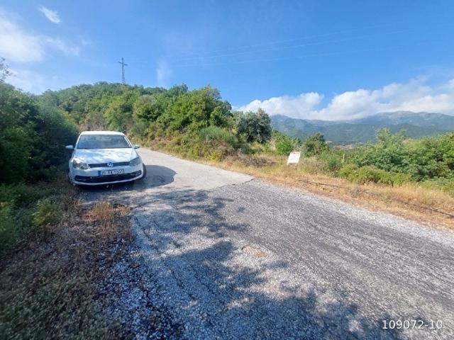 Tire, İzmir içerisinde satılık mülk