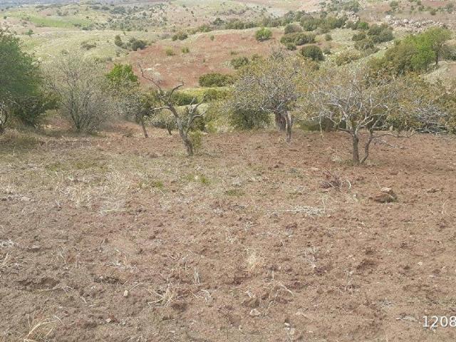 Araban, Gaziantep içerisinde satılık Arsa