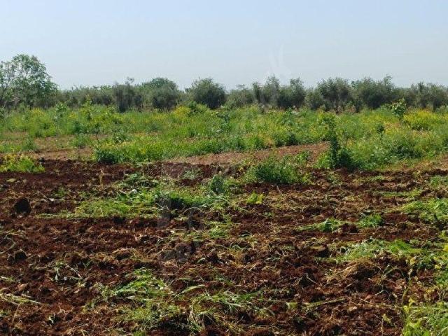 Kilis Merkez, Kilis içerisinde satılık Arsa