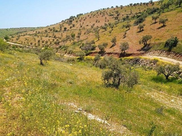 Nizip, Gaziantep içerisinde satılık mülk