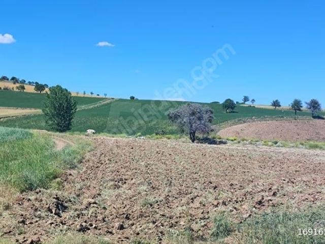 Akyurt, Ankara içerisinde satılık Arsa