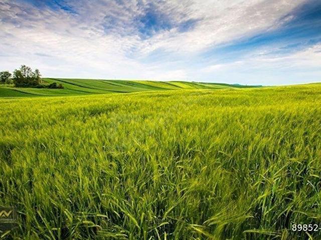 Akyurt, Ankara içerisinde satılık Arsa