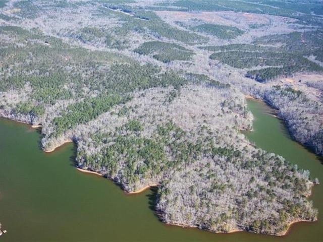 Land for sale in Tallapoosa, Alabama