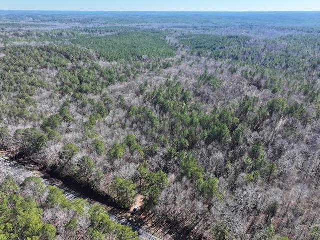 Land for sale in Carrollton, Alabama