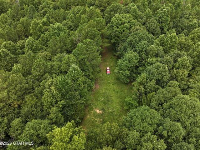 Land for sale in Carrollton, Alabama