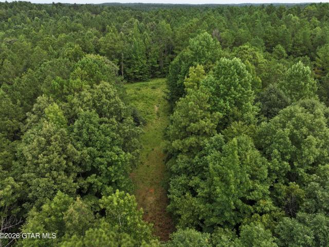 Land for sale in Carrollton, Alabama