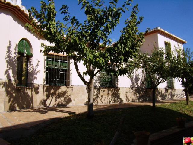 Chalet en venta en Comarca de la Vega de Granada, Andalucía