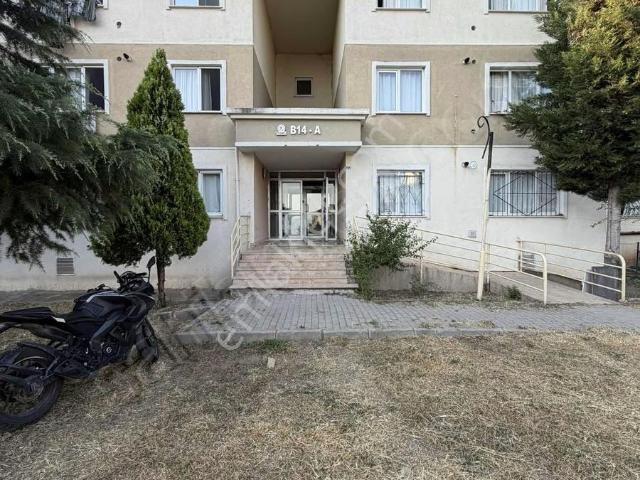 İzmit, Kocaeli içerisinde kiralık mülk