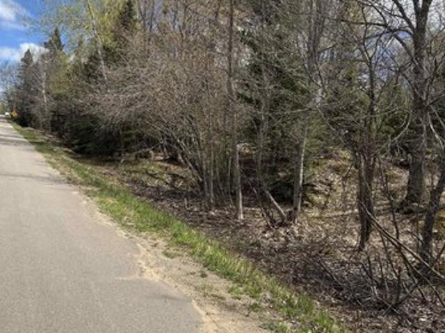 Land for sale in Champion, Champion Township