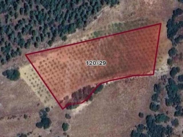 Çal, Denizli içerisinde satılık Arsa