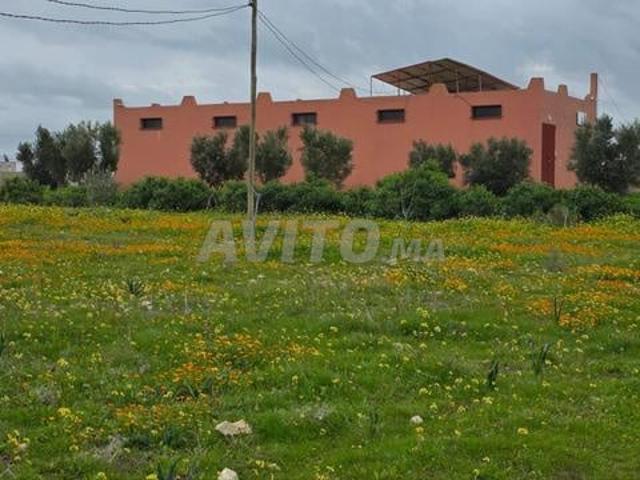 Propriété vente à El Ma, Gharb-Chrarda-Beni Hssen