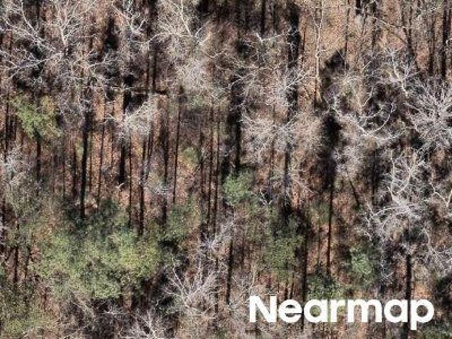 House for sale in Montevallo, Alabama