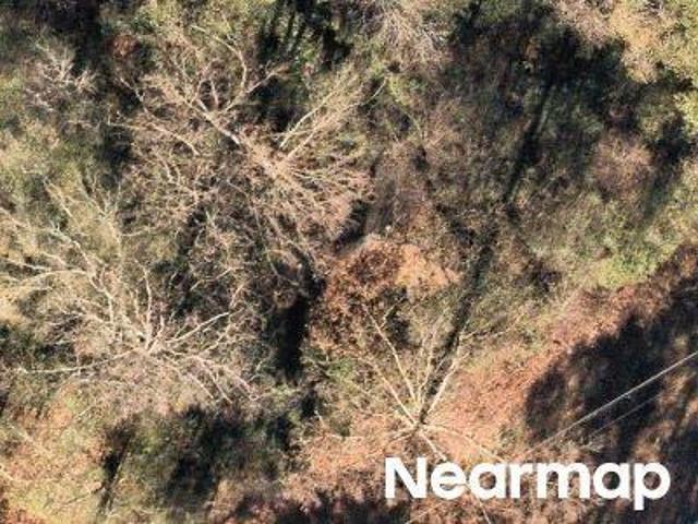 Land for sale in Horton, Alabama