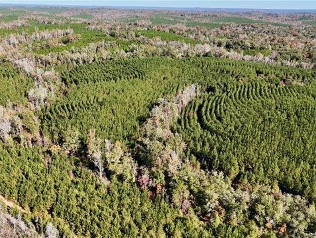 Land for sale in Eufaula, Alabama