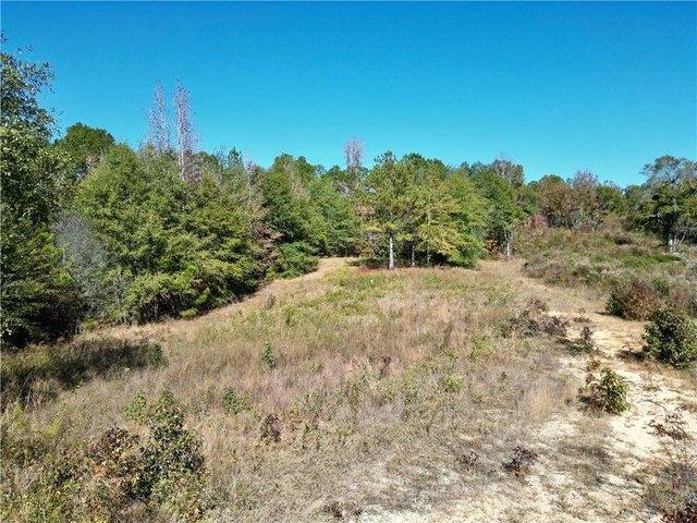 Farm for sale in Eufaula, Alabama