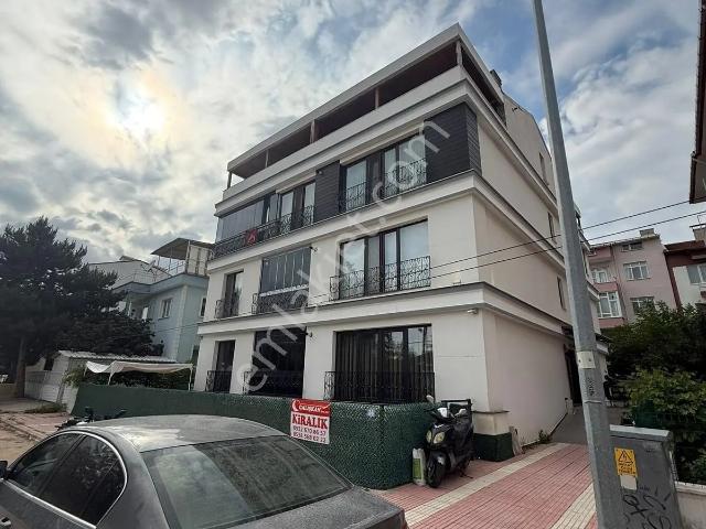 Merzifon, Amasya içerisinde kiralık mülk