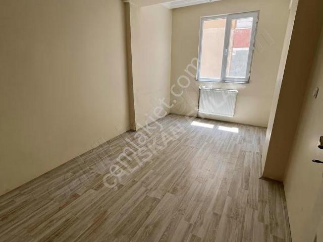 Tokat Merkez, Tokat içerisinde kiralık mülk